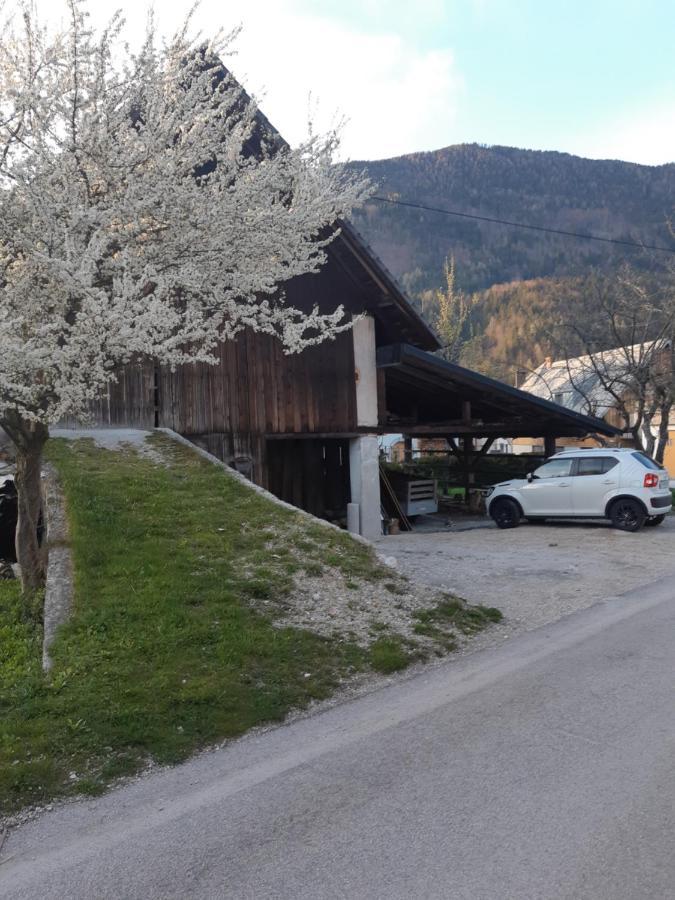 Alpska Roza Apartment Kranjska Gora Luaran gambar