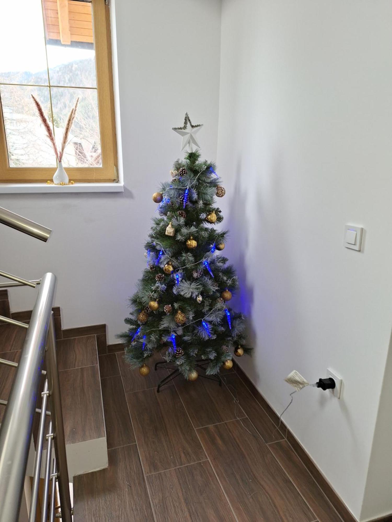 Alpska Roza Apartment Kranjska Gora Luaran gambar