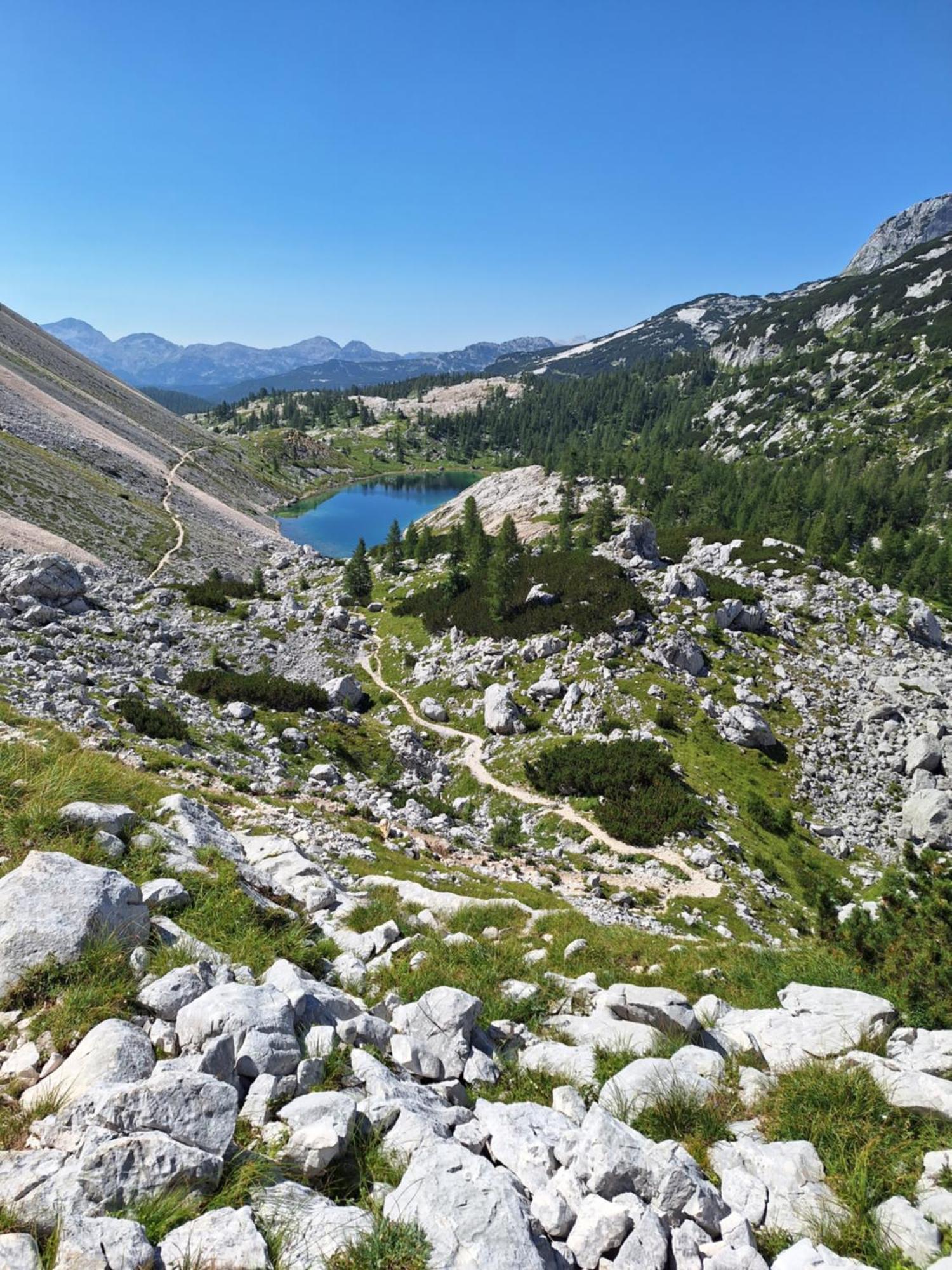 Alpska Roza Apartment Kranjska Gora Luaran gambar